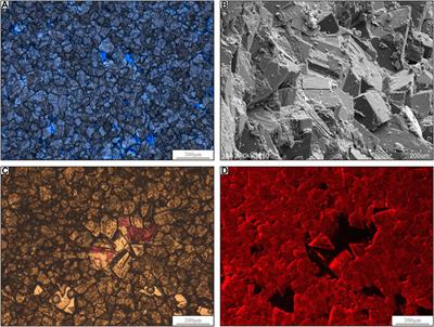 Origin of the dolomite in the Buqu Formation (Mid-Jurassic) in the south depression of the Qiangtang Basin, Tibet: Evidence from petrographic and geochemical constraints